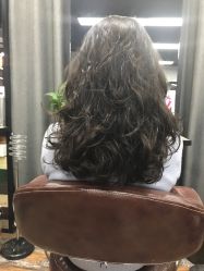 -镁连社·美联社