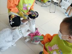 -怪兽屋·羊驼·猫咖·狗咖(俊华广场店)