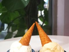 鲜椰-歎雪糕低糖低脂Gelato冰淇淋