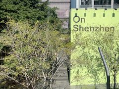 -优衣库(深圳万象天地旗舰店)