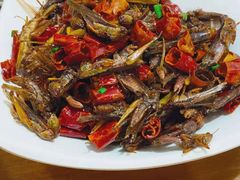 炸蚱蜢-云中鱼蒸汽石锅鱼(川沙百联店)