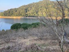 -广州市流溪河国家森林公园