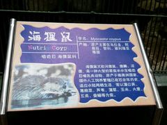 -广东茂名森林公园