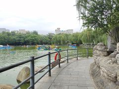 -莲湖公园