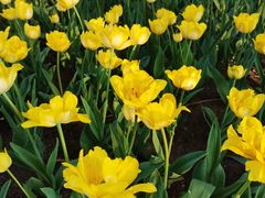 -长春公园(普阳街道)