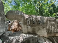 -石老人观光园