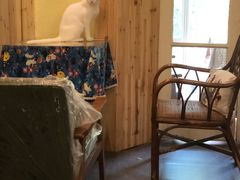 -猫色咖啡·猫咖