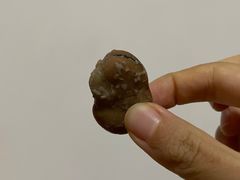 -洪湖里王姐大乌豆