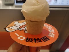 -极拉图·现制冰淇淋(大卫城店)