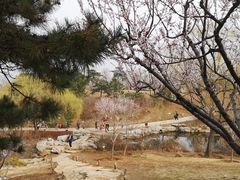 -北京西山国家森林公园