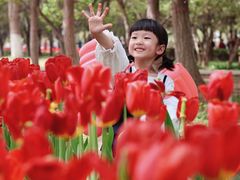 -石家庄市植物园
