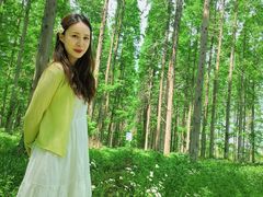 -黄海国家森林公园