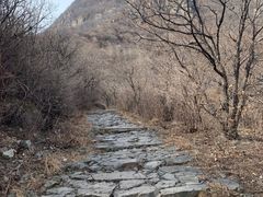 -阳台山自然风景区