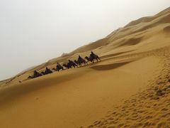 -银肯塔拉沙漠生态旅游景区