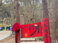 -灵顺寺