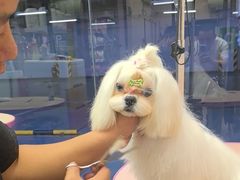 -FAELING PETS美天灵宠物(富力广场店)