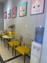 -洗脸猫·洗脸吧