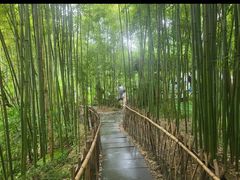 -成都杜甫草堂博物馆