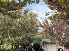 -洛阳市隋唐城遗址植物园
