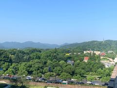 -杭州温德姆至尊豪廷大酒店