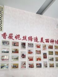 -香薇妮丝·定制减肥·身材管理