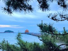 -栈桥景区