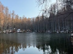 -波尔登森林公园