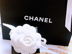 -Chanel(德基广场店)