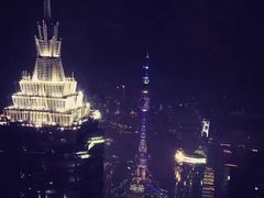 -上海柏悦酒店