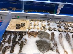 -宝轩渔府·老字号海鲜·正宗津菜(水上店)