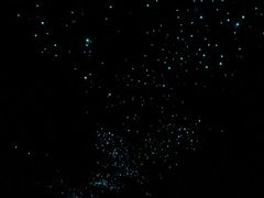 -怀托摩萤火虫洞