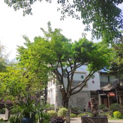 点击看大图 -莲生母婴月子中心(清水河公园店)