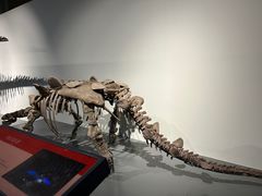 -大连自然博物馆·地球展厅