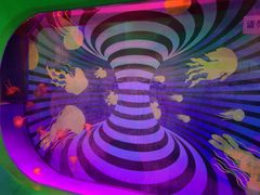 -海合安武汉极地海洋公园