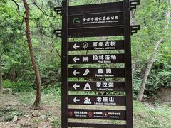 -金龙寺国家森林公园