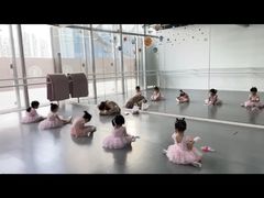 -邓肯舞蹈教育(深圳湾教学中心)