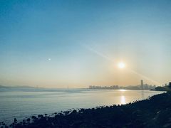 -福田红树林生态公园