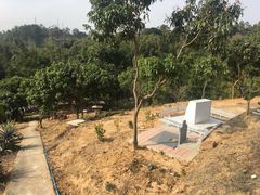 -彩虹桥宠物火化殡葬善终服务(金乐大厦店)