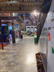 -卡通尼·Safari非洲探索乐园·生日会(金桥国际商业广场店)