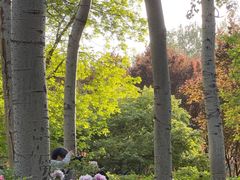 -仁和公园(顺义区)