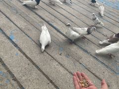 -水上乐园·欢乐世界