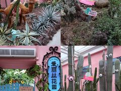 -正佳雨林生态植物园