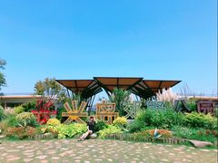 -上海长兴岛郊野公园