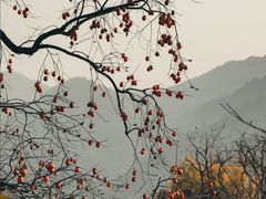 -丹山赤水风景名胜区