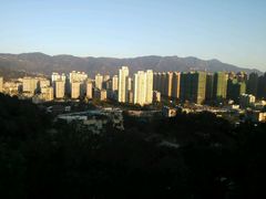 -金鸡山公园