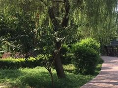 -雨湖公园