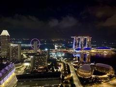 -新加坡瑞士史丹福酒店