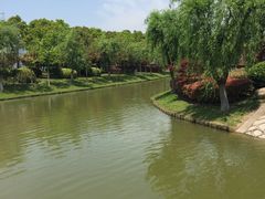 -上海鲜花港