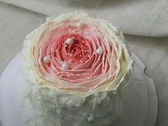 -童话王子·生日蛋糕(中山店)