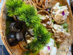 -菌彩云南野生菌火锅(呈贡七彩云南第壹城店)